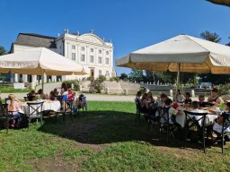 386257107_781585550436062_452366288489368957_n